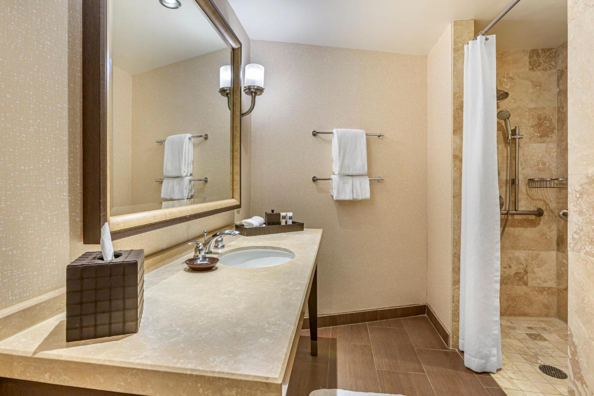 Accessible Deluxe Room Roll Shower 1 King Bed